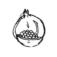 uvas dibujadas a mano. ilustración de vector de uvas para diseño con estilo de línea