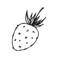 Strawberry hand drawn. strawberry vector illustration for design with line style