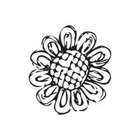 Hand drawn flowers for decoration. Line art Hand drawn flowers in vintage style vector