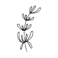 Hand drawn flowers for decoration. Line art Hand drawn flowers in vintage style vector