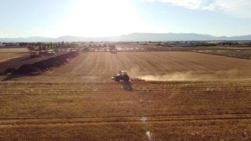 Combine harvester reaping wheat grain in cereal agriculture field farming. Farmer with tractor machinery threshing wheat, harvesting grain field aerial view. Organic farm, harvest, cultivation. video