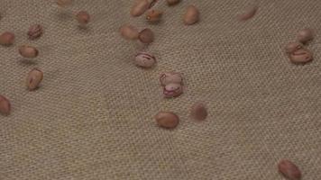 Dry beans borlotti legumes falling at slow motion. Vegan vegetarian food Mediterranean diet nutrition. video