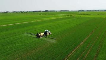 trattore spruzzatore fertilizzante, erbicida, pesticida su riso risaia agricoltura campo video