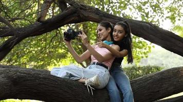 Cheerful friends are having fun and recording video of a park view while sitting on a tree branch. Stock video and stock footage clips.