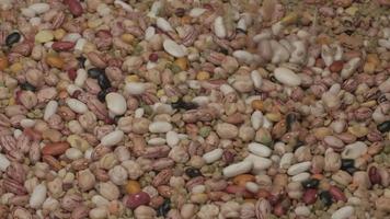 Dry legumes various mixed beans falling video