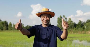 vista frontal, close-up do agricultor, retrato jovem adulto vestindo camisa azul e chapéu de palha em pé e duas mãos batendo para cima, sorriso e olhando para a câmera, campo de arroz no fundo video