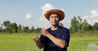 voorkant visie, dichtbij omhoog schot van boer mannelijk, portret jong volwassen vervelend blauw overhemd en rietje hoed staand met zijn armen gevouwen, glimlach en op zoek Bij de camera. rijst- veld- Aan achtergrond video