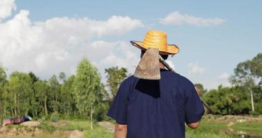 cámara lenta, la espalda de un agricultor de mediana edad con camisa y sombrero de paja que lleva una pala en el hombro y pasa caminando la vaca video