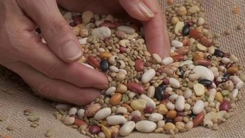 handen geven gemengd bonen peulvruchten Aan jute- achtergrond Bij langzaam beweging. droog peulvrucht, linzen, wit en rood bonen, kikkererwten gezond voedsel. middellandse Zee gezond voedsel, veganistisch vegetarisch eiwit bron video