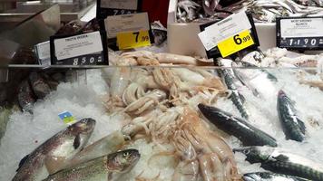 pescadero recogiendo calamares en el mercado de pescado. comprando pescado en la pescadería. marisco fresco a la venta en el supermercado video