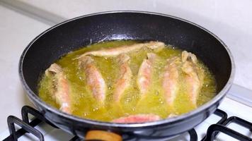 Cooking fish. Frying mullet fish in a pan. Delicious tasty cuisine.