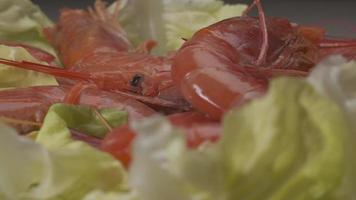 Raw Argentinian red shrimps fresh sea food video