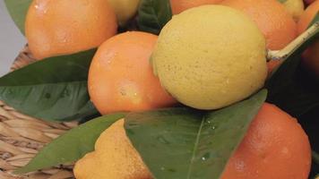 cítricos limón y naranja de cerca. colorido grupo saludable de alimentos de frutas mixtas rotando. video