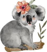 Koala animal with a flower on a tree branch, watercolor illustration. vector