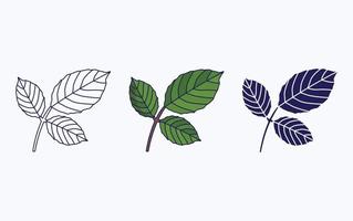 Leaf icon vector design illustration