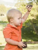 lindo, niño joven, con, piñas, en el parque foto