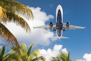vista inferior del avión de pasajeros que vuela sobre palmeras tropicales foto