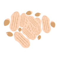 nuts peanut healthy food snacks collection set png