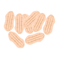 noccioline arachide salutare cibo spuntini collezione impostato png