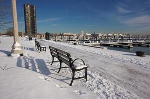 Empty Snowy Bench in Chicago photo