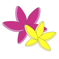 Pink flower Plumeria, for your romantic decoration png