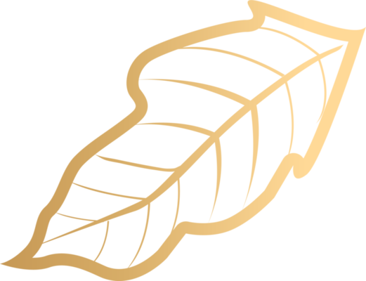 Gold Leaf PNGs for Free Download