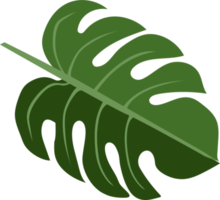 Symbol für tropische Blätter png