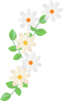 daisy border frame png