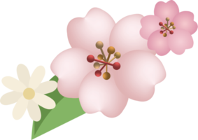 Cherry blossoms and daisy border frame png