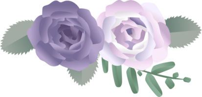 rose flower border png