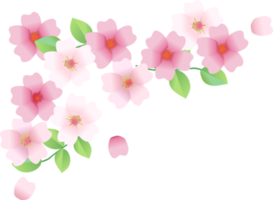 Sakura-Kirschblüten-Grenze png