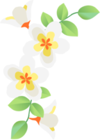 borde de flores de plumeria png