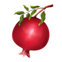 roter Granatapfel mit Blatt png