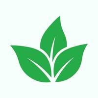 Ecology leaf icon EPS10 - Vector