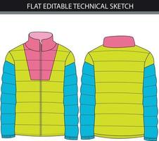 Long sleeve with stand-up collar colour blocks long zipper jacket fashion Flat Sketch technical drawing template front and back views. Free Vector