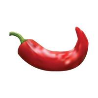 Realistic vector Red chilli pepper isolated on white background.