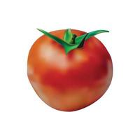 diseño de vector de tomate maduro realista