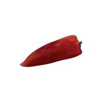 Realistic vector Red chilli pepper isolated on white background.