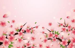Peach Blossom Flower Background vector