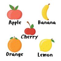 Set of fresh juicy fruits for vegan menu and cocktails. Summer fruit illustrations for print. vector