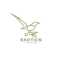 exotic bird with branch tree line art logo design vector