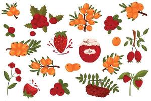 Set of berries with leaves and jam jar vector