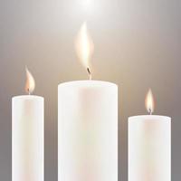Three Candle Flame. vector