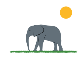 Elephant walking on grass png