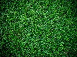 artificial green grass using for background or texture photo