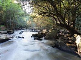 pequeño arroyo cerca de la cascada sridit en el bosque en khao kho, provincia de phetchabun, tailandia. foto