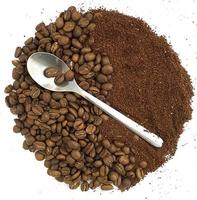 Coffee beans, ground coffee and a spoon. photo