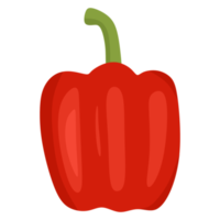 Paprika illustration for cooking png