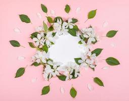 White apple tree flowers and leaves laid out in circle around white copy space. Top view. photo