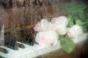 Blurry image through wet glass pale pink roses are lying on piano keyboard. photo